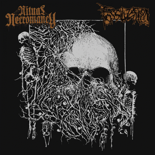 Ritual Necromancy : Ritual Necromancy - Fossilization